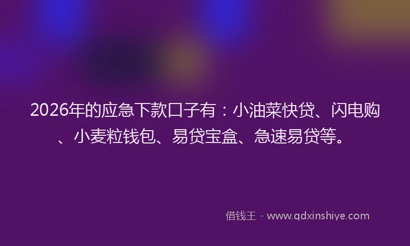 2026年的应急下款口子有:小油菜快贷、闪电购、小麦粒钱包、易贷宝盒、急速易贷等。