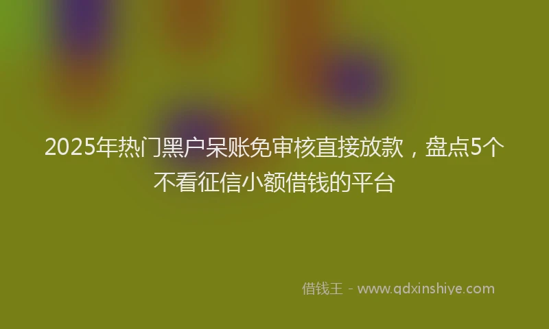 2025年热门黑户呆账免审核直接放款,盘点5个不看征信小额借钱的平台