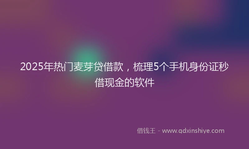 2025年热门麦芽贷借款，梳理5个手机身份证秒借现金的软件