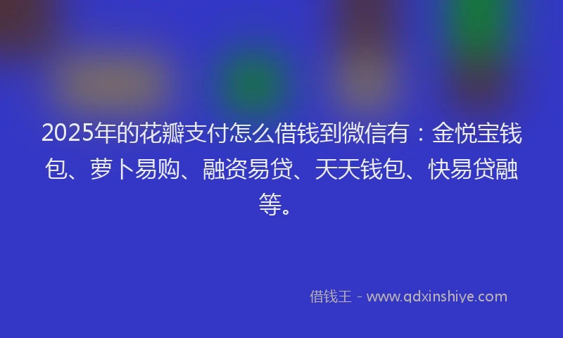 2025年的花瓣支付怎么借钱到微信有：金悦宝钱包、萝卜易购、融资易贷、天天钱包、快易贷融等。