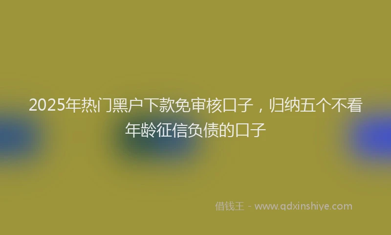 2025年热门黑户下款免审核口子，归纳五个不看年龄征信负债的口子
