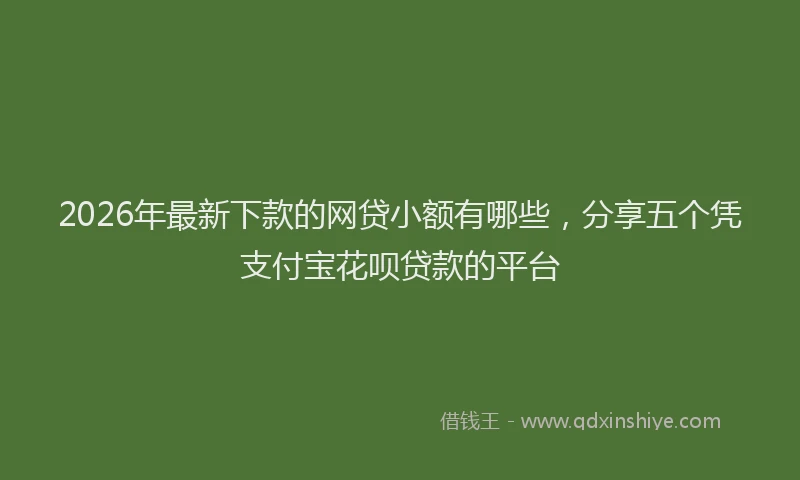 2026年最新下款的网贷小额有哪些，分享五个凭支付宝花呗贷款的平台