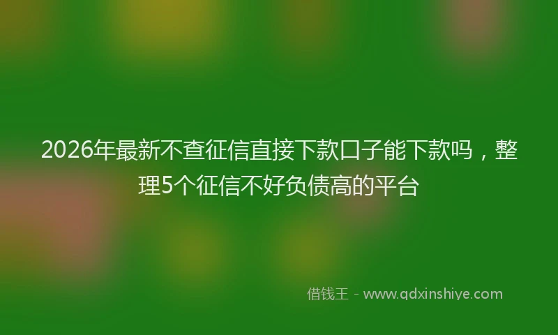 2026年最新不查征信直接下款口子能下款吗，整理5个征信不好负债高的平台