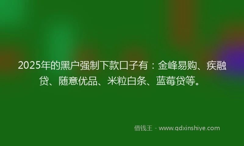 2025年的黑户强制下款口子有:金峰易购、疾融贷、随意优品、米粒白条、蓝莓贷等。