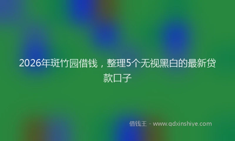 2026年斑竹园借钱，整理5个无视黑白的最新贷款口子