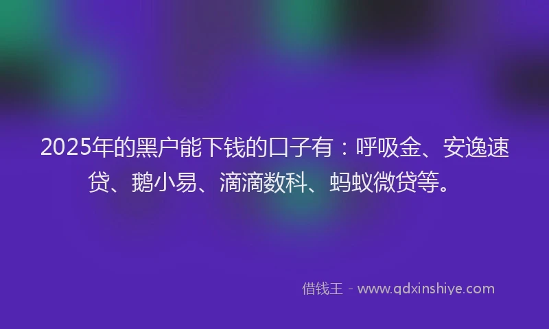 2025年的黑户能下钱的口子有：呼吸金、安逸速贷、鹅小易、滴滴数科、蚂蚁微贷等。