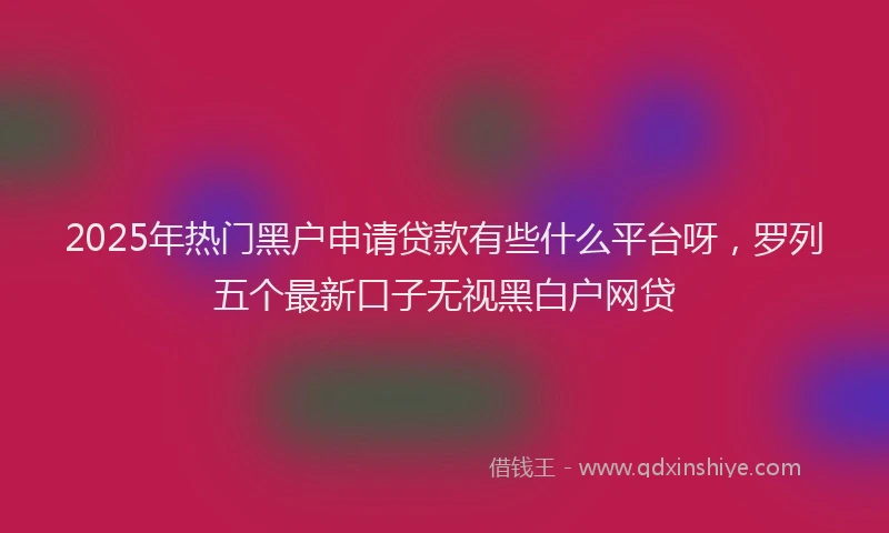 2025年热门黑户申请贷款有些什么平台呀，罗列五个最新口子无视黑白户网贷