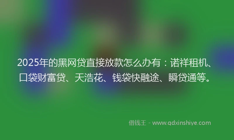 2025年的黑网贷直接放款怎么办有：诺祥租机、口袋财富贷、天浩花、钱袋快融途、瞬贷通等。