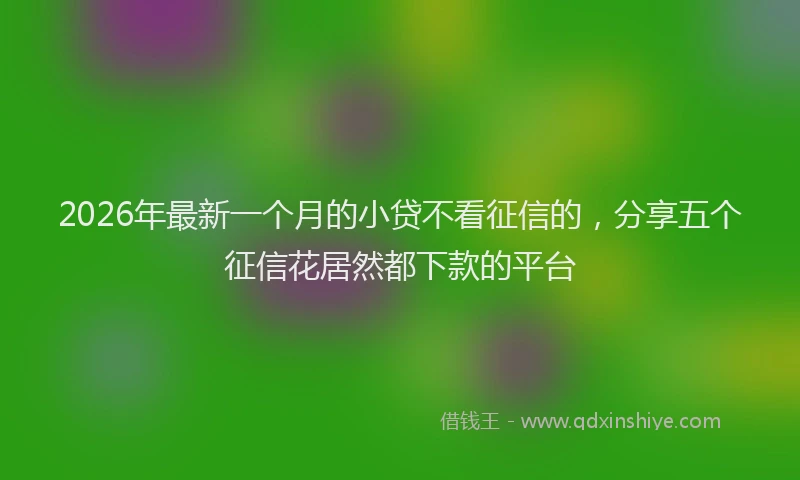 2026年最新一个月的小贷不看征信的,分享五个征信花居然都下款的平台