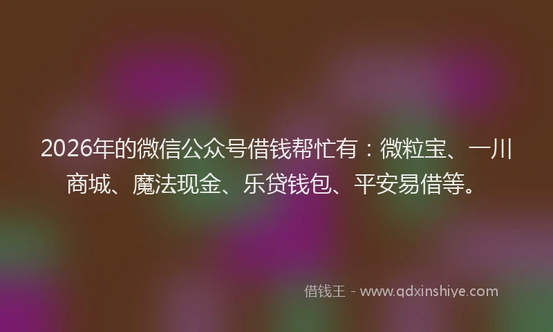 2026年的微信公众号借钱帮忙有:微粒宝、一川商城、魔法现金、乐贷钱包、平安易借等。