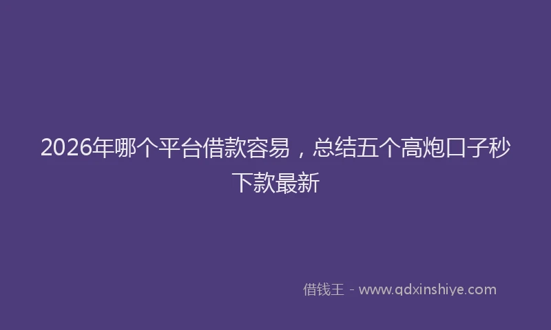 2026年哪个平台借款容易,总结五个高炮口子秒下款最新