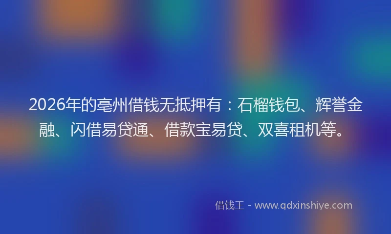 2026年的亳州借钱无抵押有：石榴钱包、辉誉金融、闪借易贷通、借款宝易贷、双喜租机等。