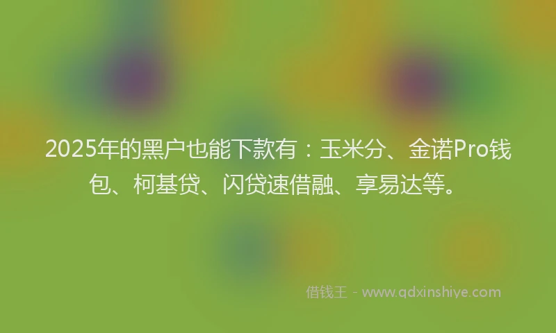 2025年的黑户也能下款有：玉米分、金诺Pro钱包、柯基贷、闪贷速借融、享易达等。