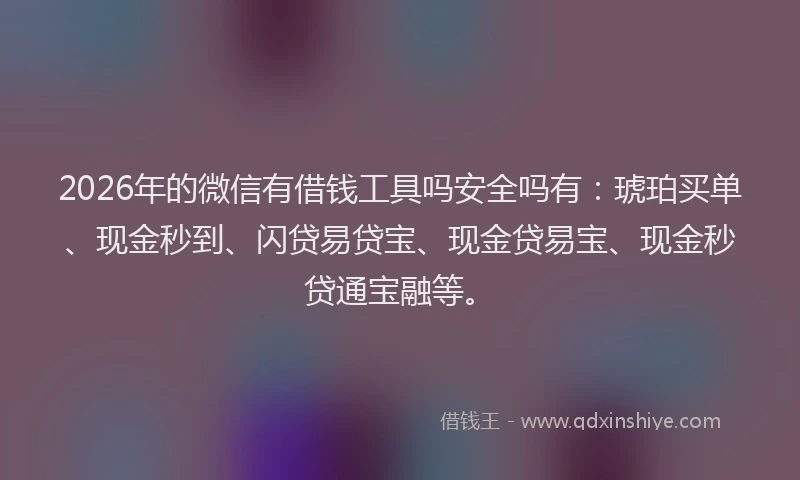 2026年的微信有借钱工具吗安全吗有：琥珀买单、现金秒到、闪贷易贷宝、现金贷易宝、现金秒贷通宝融等。