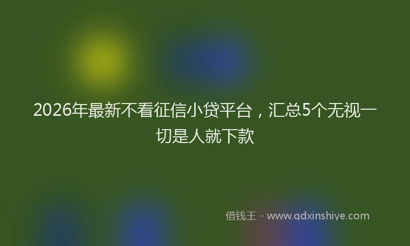 2026年最新不看征信小贷平台,汇总5个无视一切是人就下款