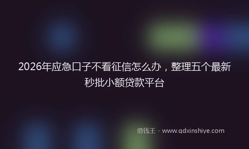 2026年应急口子不看征信怎么办，整理五个最新秒批小额贷款平台