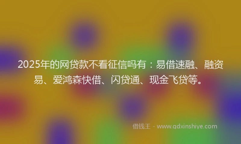 2025年的网贷款不看征信吗有:易借速融、融资易、爱鸿森快借、闪贷通、现金飞贷等。