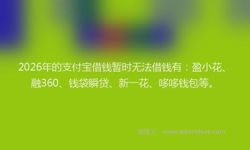 2026年的支付宝借钱暂时无法借钱有：盈小花、融360、钱袋瞬贷、新一花、哆哆钱包等。