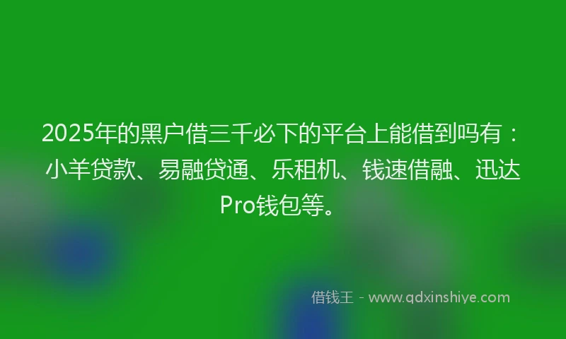 2025年的黑户借三千必下的平台上能借到吗有：小羊贷款、易融贷通、乐租机、钱速借融、迅达Pro钱包等。