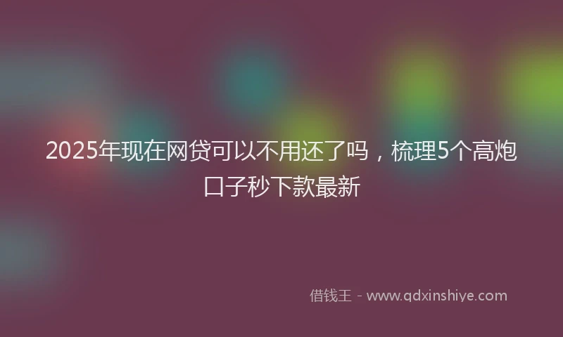 2025年现在网贷可以不用还了吗，梳理5个高炮口子秒下款最新