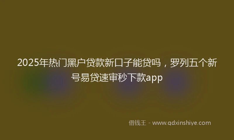 2025年热门黑户贷款新口子能贷吗，罗列五个新号易贷速审秒下款app