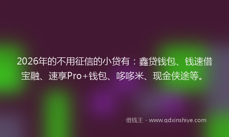 2026年的不用征信的小贷有：鑫贷钱包、钱速借宝融、速享Pro+钱包、哆哆米、现金侠途等。