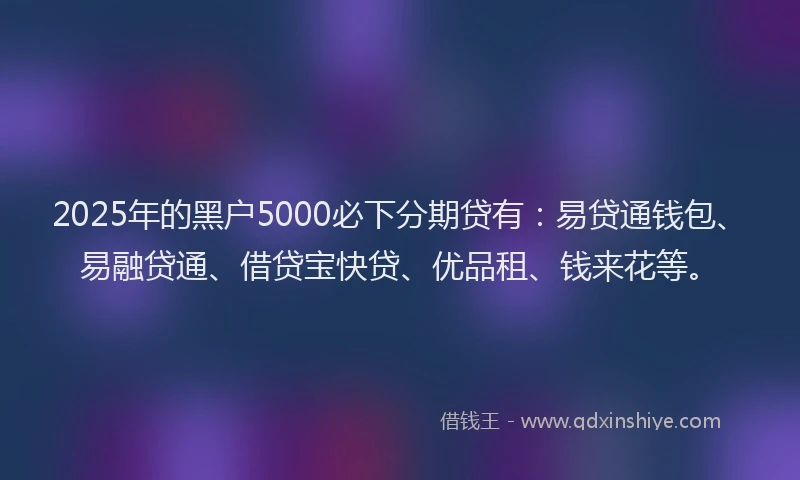 2025年的黑户5000必下分期贷有：易贷通钱包、易融贷通、借贷宝快贷、优品租、钱来花等。