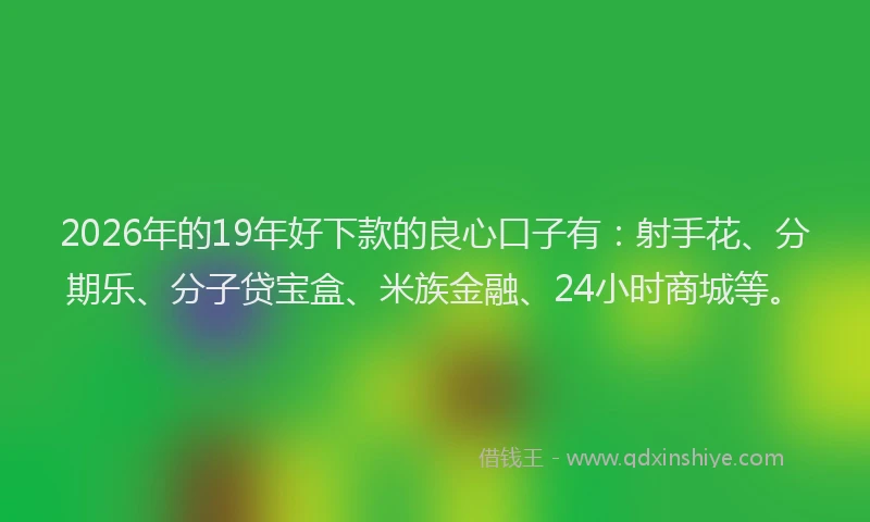 2026年的19年好下款的良心口子有:射手花、分期乐、分子贷宝盒、米族金融、24小时商城等。