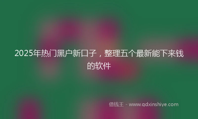 2025年热门黑户新口子,整理五个最新能下来钱的软件