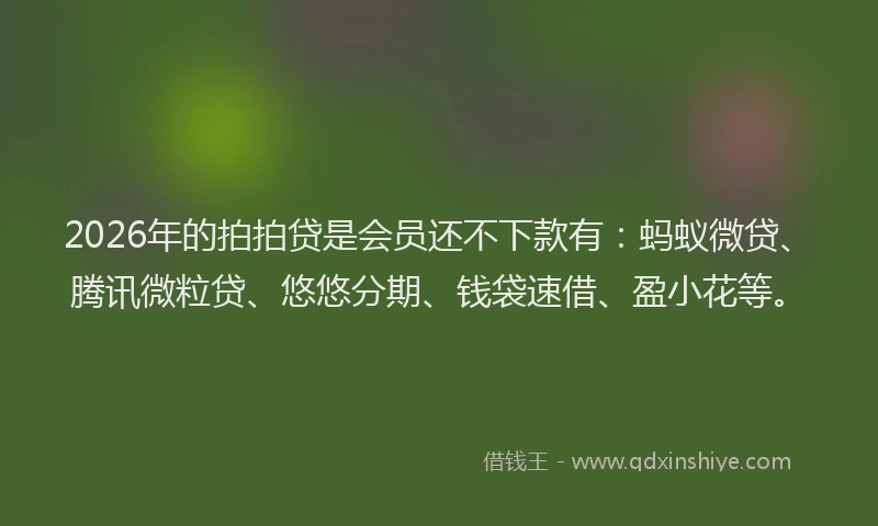 2026年的拍拍贷是会员还不下款有：蚂蚁微贷、腾讯微粒贷、悠悠分期、钱袋速借、盈小花等。
