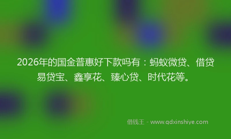 2026年的国金普惠好下款吗有:蚂蚁微贷、借贷易贷宝、鑫享花、臻心贷、时代花等。