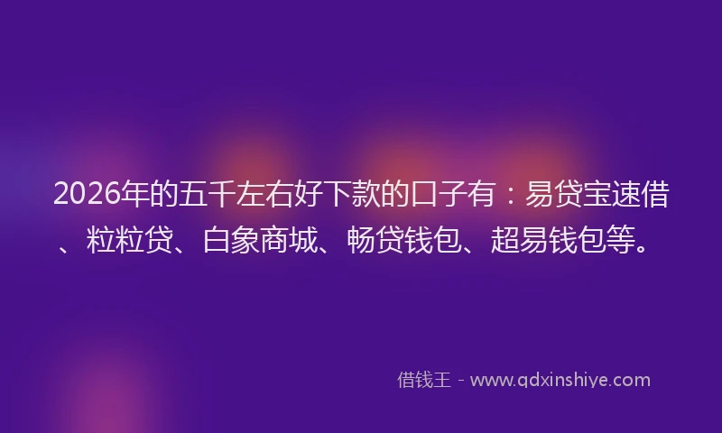 2026年的五千左右好下款的口子有:易贷宝速借、粒粒贷、白象商城、畅贷钱包、超易钱包等。