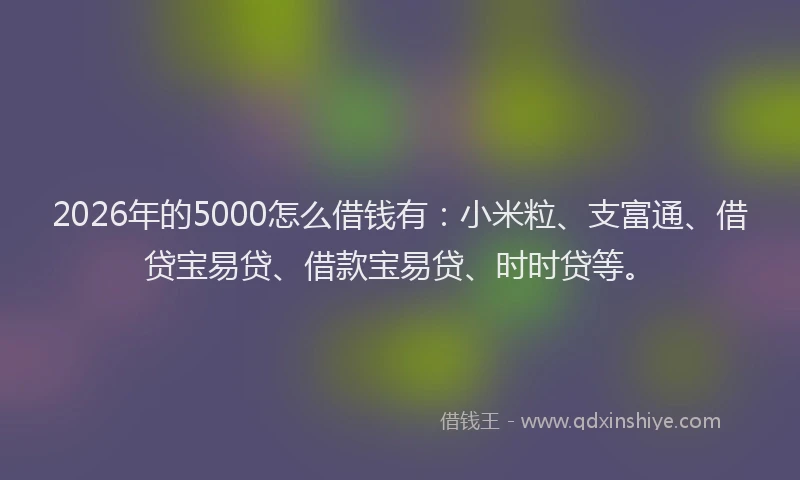 2026年的5000怎么借钱有：小米粒、支富通、借贷宝易贷、借款宝易贷、时时贷等。