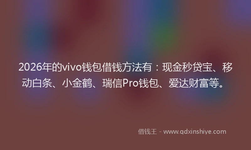 2026年的vivo钱包借钱方法有:现金秒贷宝、移动白条、小金鹤、瑞信Pro钱包、爱达财富等。