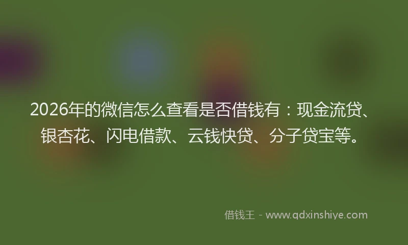 2026年的微信怎么查看是否借钱有：现金流贷、银杏花、闪电借款、云钱快贷、分子贷宝等。