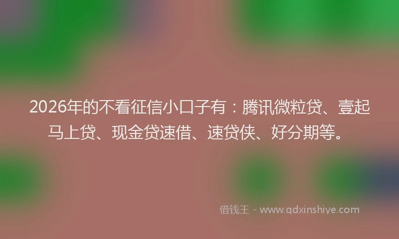 2026年的不看征信小口子有：腾讯微粒贷、壹起马上贷、现金贷速借、速贷侠、好分期等。