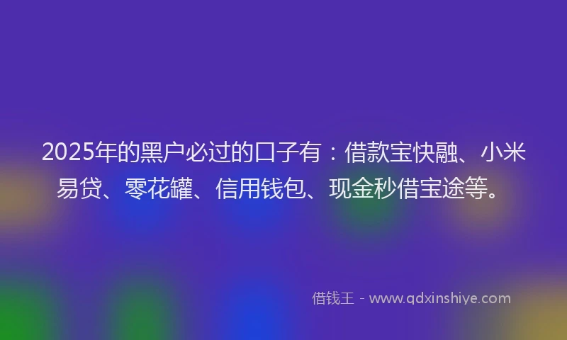 2025年的黑户必过的口子有：借款宝快融、小米易贷、零花罐、信用钱包、现金秒借宝途等。