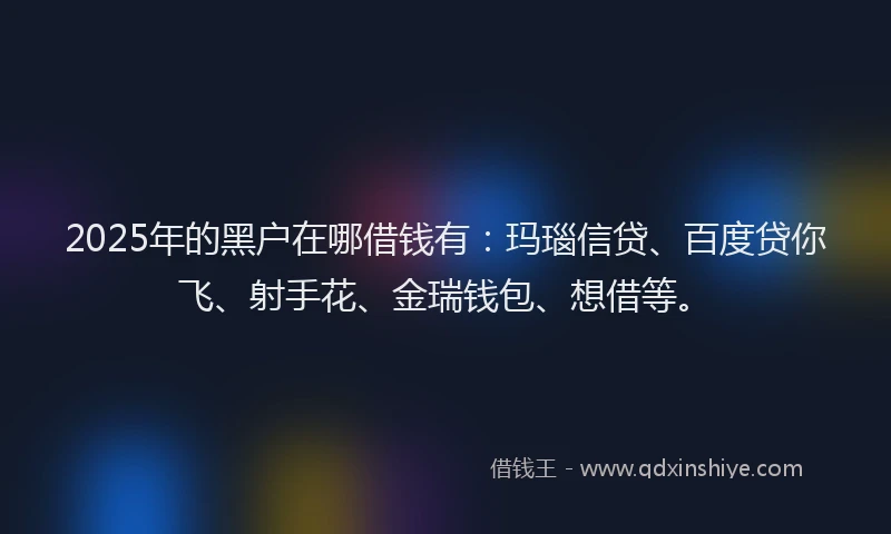 2025年的黑户在哪借钱有：玛瑙信贷、百度贷你飞、射手花、金瑞钱包、想借等。