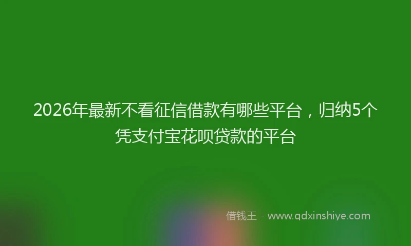 2026年最新不看征信借款有哪些平台,归纳5个凭支付宝花呗贷款的平台