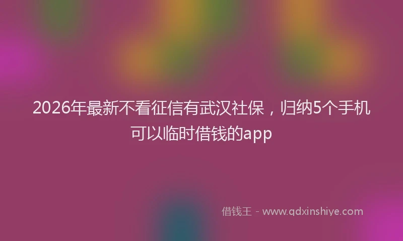 2026年最新不看征信有武汉社保,归纳5个手机可以临时借钱的app
