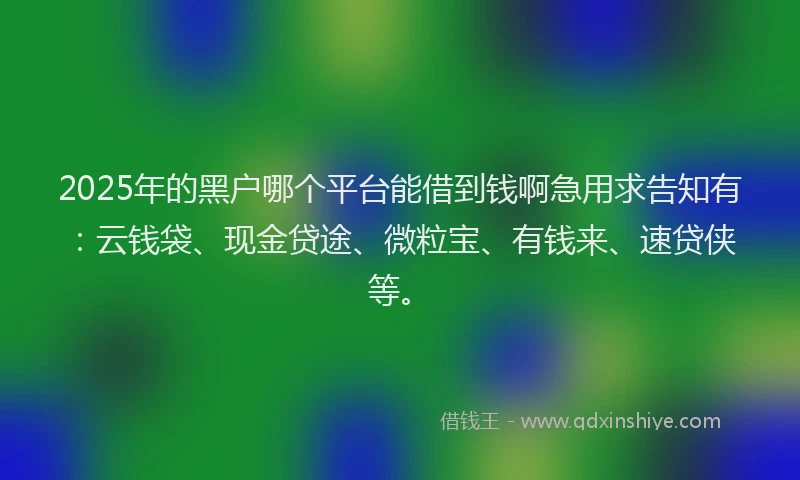 2025年的黑户哪个平台能借到钱啊急用求告知有:云钱袋、现金贷途、微粒宝、有钱来、速贷侠等。