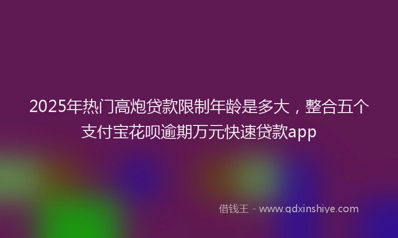 2025年热门高炮贷款限制年龄是多大，整合五个支付宝花呗逾期万元快速贷款app