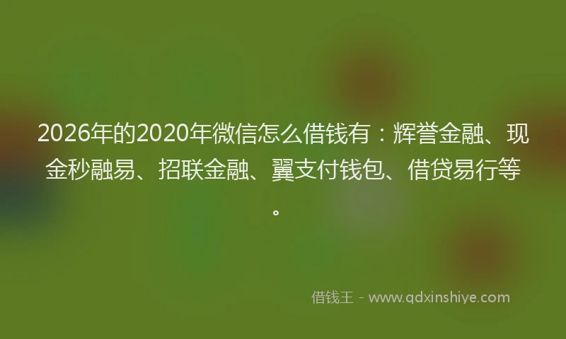 2026年的2020年微信怎么借钱有：辉誉金融、现金秒融易、招联金融、翼支付钱包、借贷易行等。