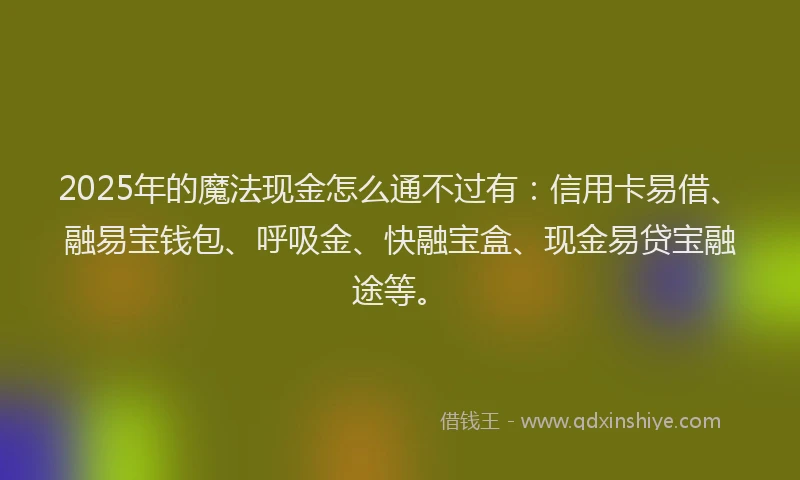 2025年的魔法现金怎么通不过有:信用卡易借、融易宝钱包、呼吸金、快融宝盒、现金易贷宝融途等。