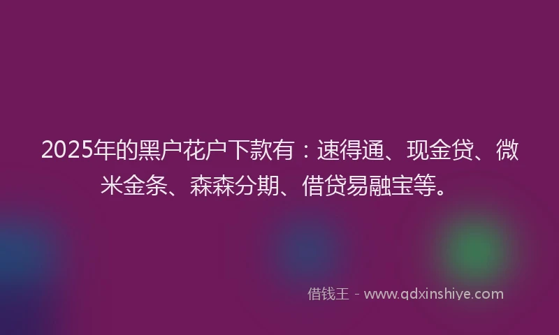 2025年的黑户花户下款有：速得通、现金贷、微米金条、森森分期、借贷易融宝等。