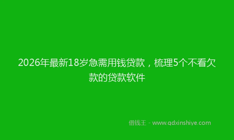 2026年最新18岁急需用钱贷款，梳理5个不看欠款的贷款软件
