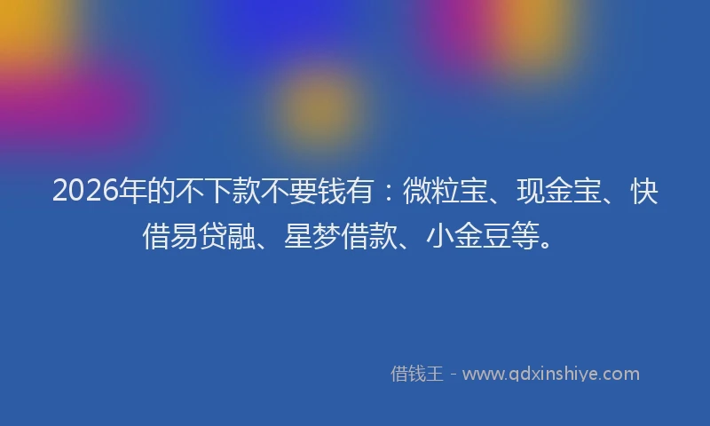 2026年的不下款不要钱有:微粒宝、现金宝、快借易贷融、星梦借款、小金豆等。