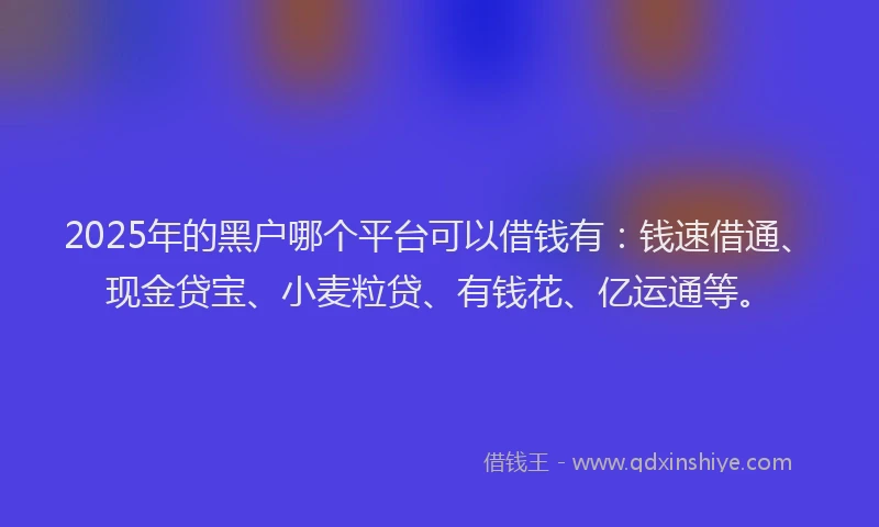 2025年的黑户哪个平台可以借钱有:钱速借通、现金贷宝、小麦粒贷、有钱花、亿运通等。