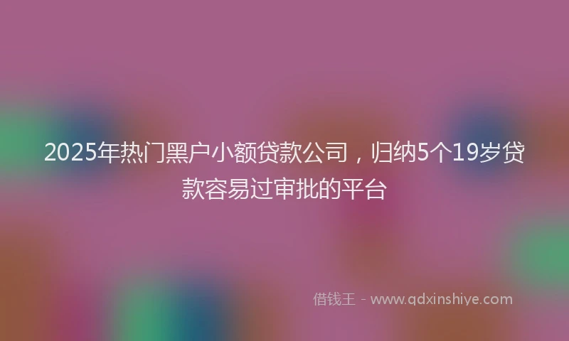 2025年热门黑户小额贷款公司,归纳5个19岁贷款容易过审批的平台