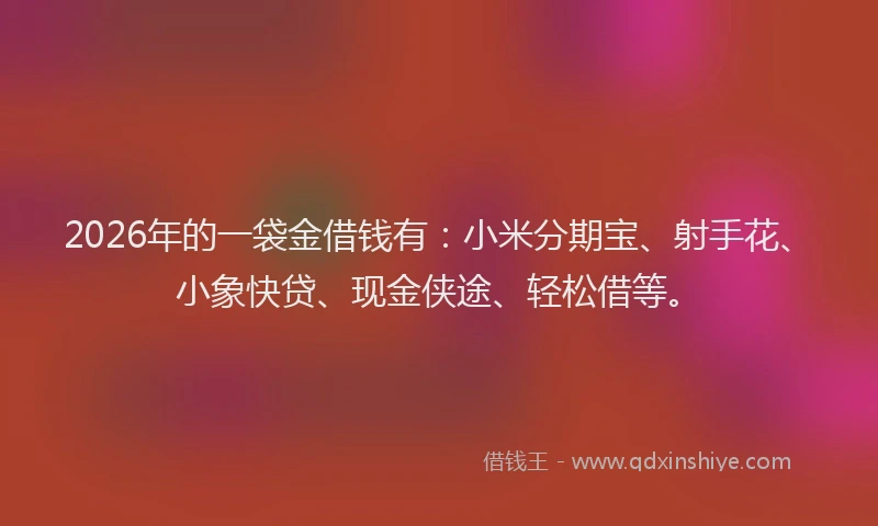 2026年的一袋金借钱有：小米分期宝、射手花、小象快贷、现金侠途、轻松借等。
